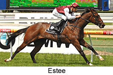 Estee (16193 bytes)