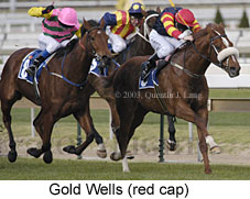 Gold Wells (18191 bytes)