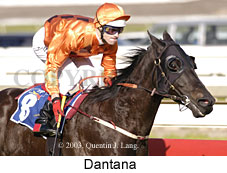 Dantana (16767 bytes)