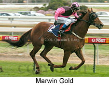 Marwin Gold (18005 bytes)