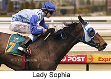 Lady Sophia (15501 bytes)