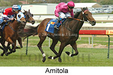Amitola (16193 bytes)