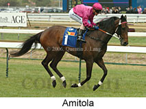 Amitola (16193 bytes)