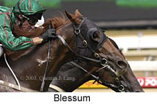 Blessum (12844 bytes)