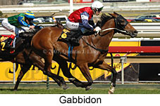 Gabbidon (14772 bytes)