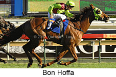 Bon Hoffa (14772 bytes)