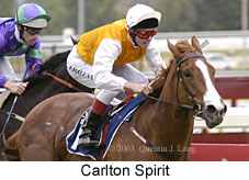 Carlton Spirit (15706 bytes)