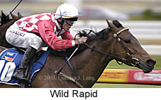 Wild Rapid (13744 bytes)