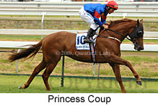 Princess Coup (14872 bytes)