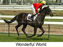 Wonderful World (14772 bytes)