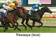 Rewaaya (14772 bytes)