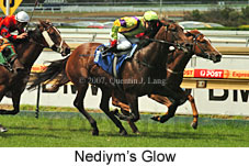 Nediym's Glow (14872 bytes)