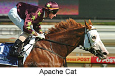 Apache Cat (14872 bytes)