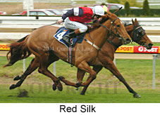 Red Silk (16506 bytes)