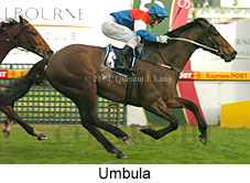 Umbula (16275 bytes)