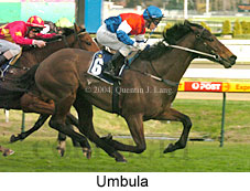 Umbula (18524 bytes)