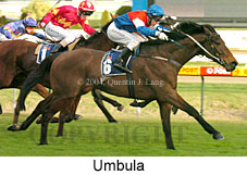 Umbula (17269 bytes)