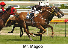 Mr. Magoo (14772 bytes)