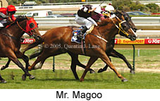 Mr. Magoo (14772 bytes)