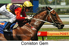 Coniston Gem (14772 bytes)