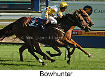 Bowhunter (14772 bytes)