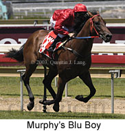 Murphy's Blu Boy (15740 bytes)