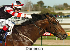 Danerich (14772 bytes)
