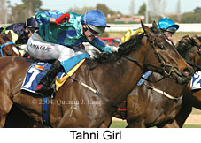Tahni Girl (15213 bytes)