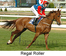 Regal Roller (18035 bytes)