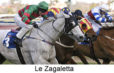 Le Zagaletta (15343 bytes)
