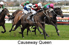 Causeway Queen (14772 bytes)