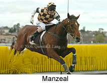 Manzeal (14872 bytes)