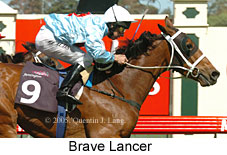 Brave Lancer (17710 bytes)
