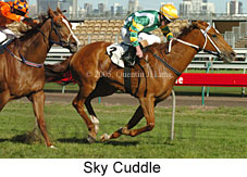 Sky Cuddle  (17710 bytes)