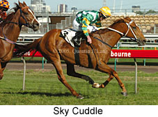 Sky Cuddle  (17710 bytes)