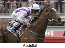Abdullah (14151 bytes)