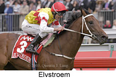 Elvstroem (14782 bytes)