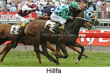 Hillfa (18507 bytes)