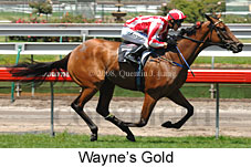 Wayne's Gold (14872 bytes)