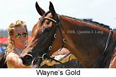 Wayne's Gold (14872 bytes)