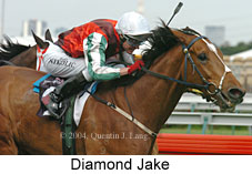 Diamond Jake (14047 bytes)