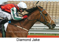 Diamond Jake (15325 bytes)