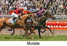 Mutate (16971 bytes)