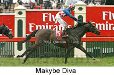 Makybe Diva (17851 bytes)