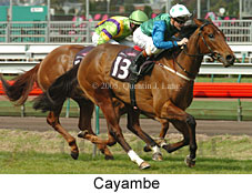Cayambe (19327 bytes)
