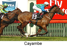 Cayambe (19327 bytes)