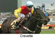 Crevette (18507 bytes)
