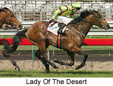 Lady Of The Desert (19918 bytes)