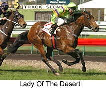 Lady Of The Desert (18508 bytes)