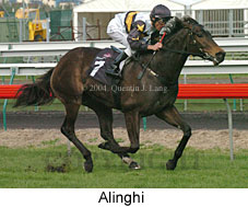 Alinghi (17076 bytes)